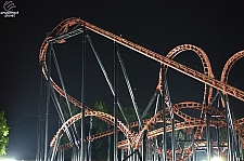 Blue Hawk
