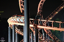 Blue Hawk
