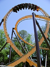 Georgia Scorcher