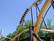 Georgia Scorcher