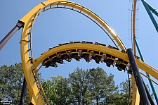Georgia Scorcher