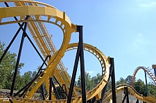 Georgia Scorcher