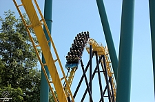 Georgia Scorcher