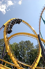 Georgia Scorcher