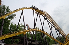 Georgia Scorcher