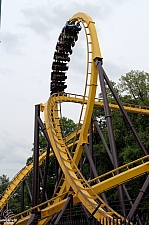 Georgia Scorcher
