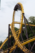 Georgia Scorcher