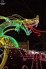 Glow in the Park Parade