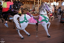 Silver Star Carousel