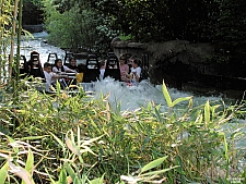 Roaring Rapids