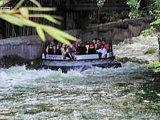 Roaring Rapids