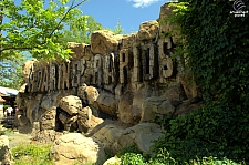 Roaring Rapids