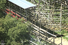 New Texas Giant