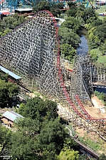 New Texas Giant
