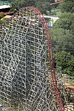New Texas Giant