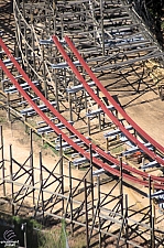 New Texas Giant