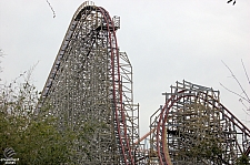 New Texas Giant