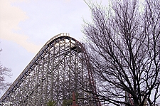 New Texas Giant