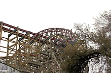 New Texas Giant