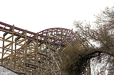 New Texas Giant