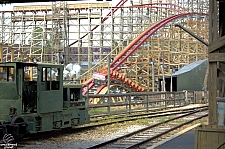 New Texas Giant