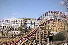 New Texas Giant