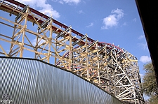 New Texas Giant