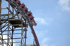 New Texas Giant