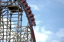 New Texas Giant