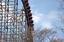 New Texas Giant