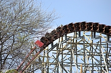 New Texas Giant