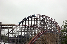 New Texas Giant