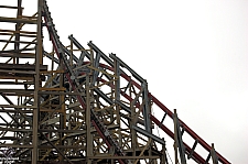 New Texas Giant
