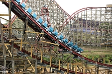New Texas Giant