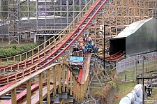 New Texas Giant