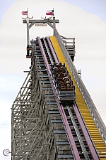 New Texas Giant