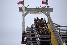 New Texas Giant