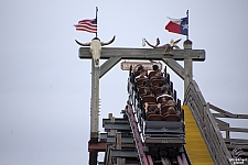 New Texas Giant