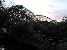Texas Giant
