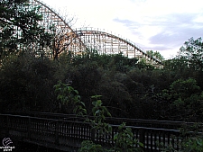 Texas Giant
