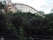 Texas Giant