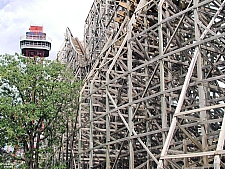 Texas Giant