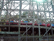 Texas Giant