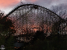 Texas Giant