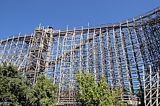 Texas Giant