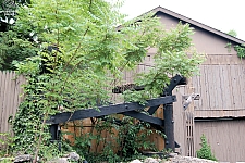 River King Mine Train