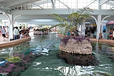 Sting Ray Lagoon