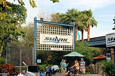 Shark Encounter