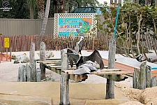 Turtle Point