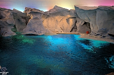 Wild Arctic Aquarium